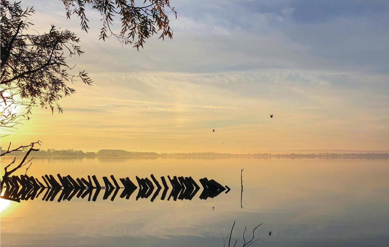 Lovely Home In Lembruch-Duemmer See With Sauna Экстерьер фото